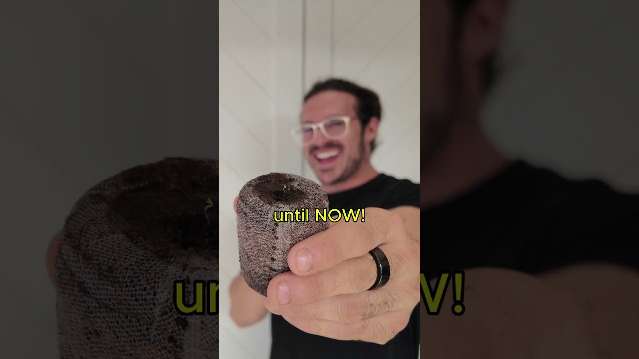 1768841763 maxresdefault.jpg