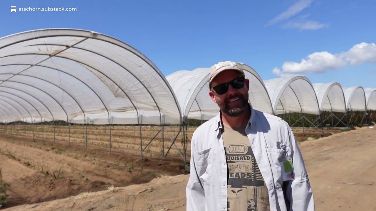 1761307866 maxresdefault.jpg