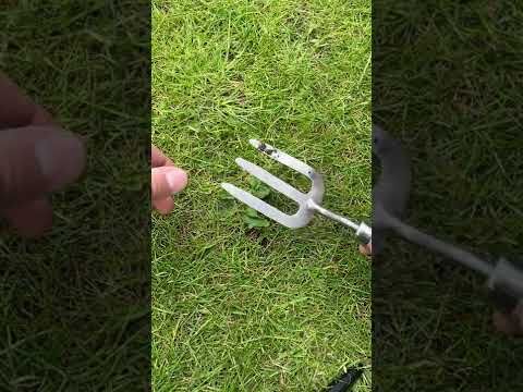 1764169137 hqdefault.jpg