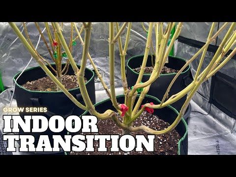 1760961360 hqdefault.jpg