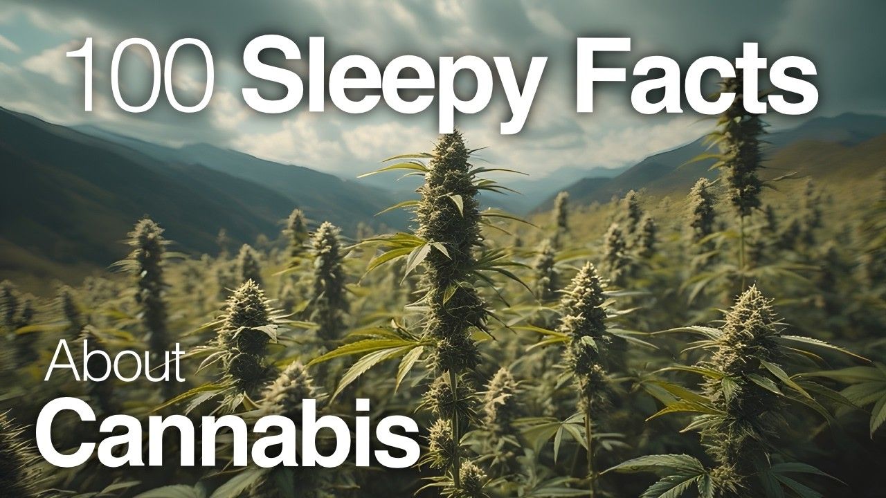 1764342061 maxresdefault.jpg