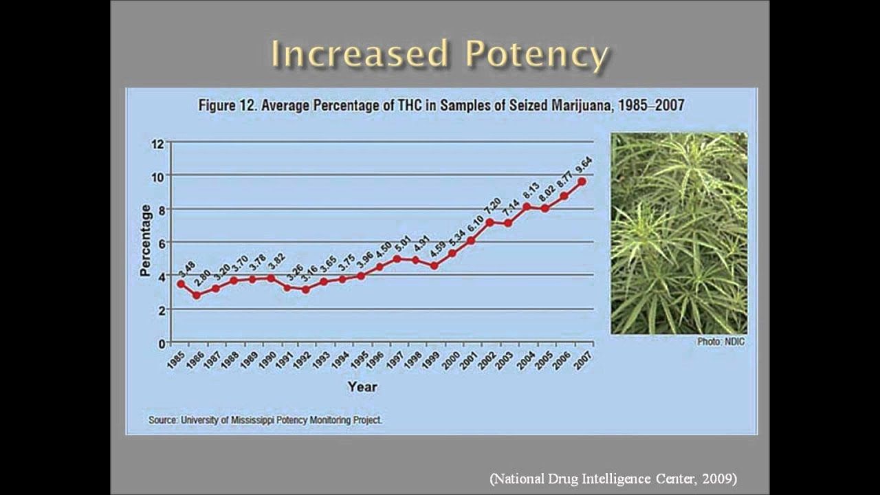 1765120793 maxresdefault.jpg