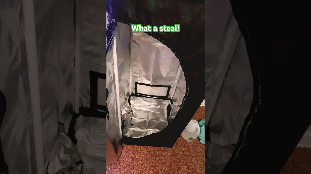 1767320879 maxresdefault.jpg