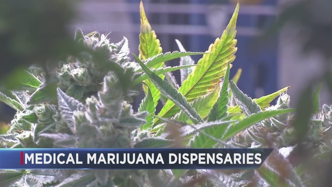 Ptsd medical marijuana.jpg