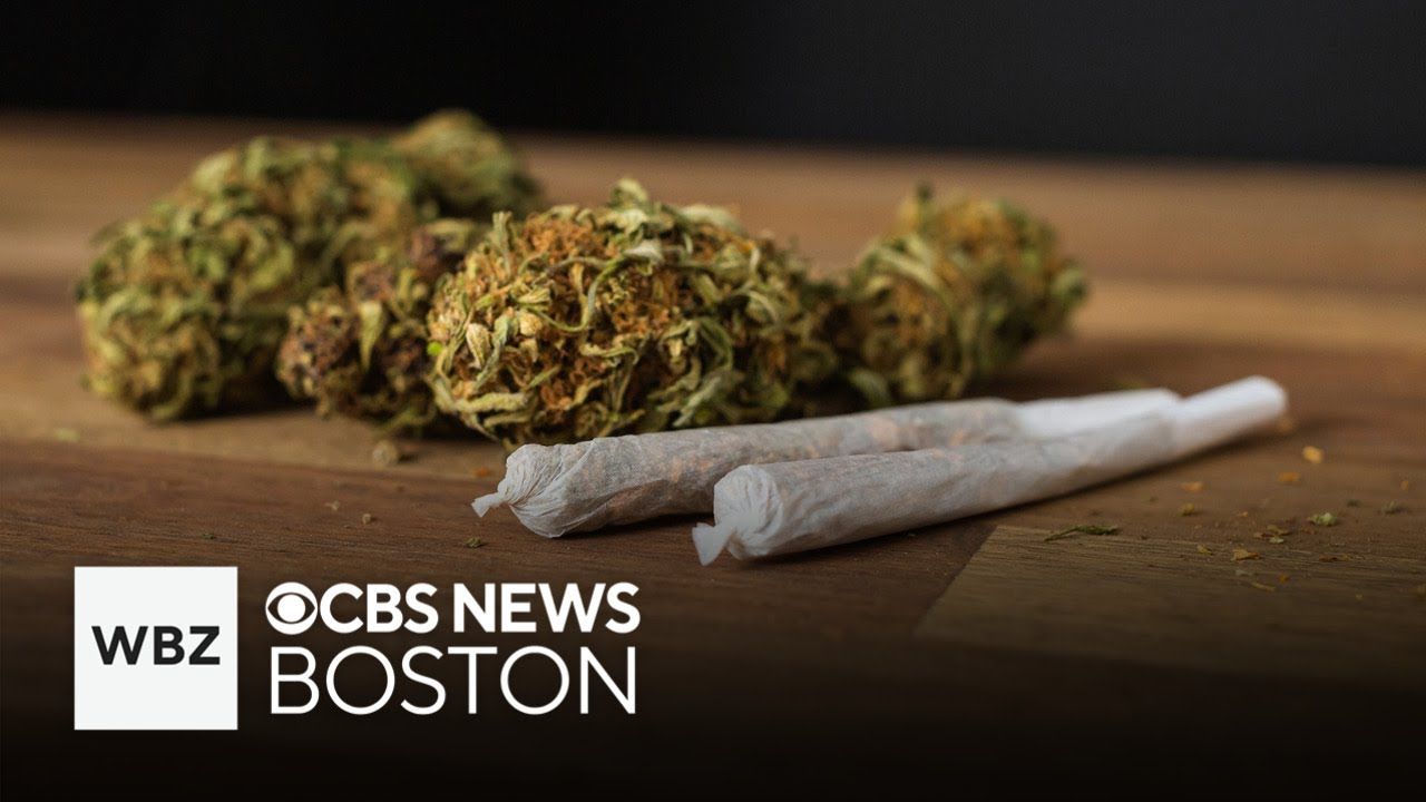 Adults using medical marijuana for pain less likely to require.jpg