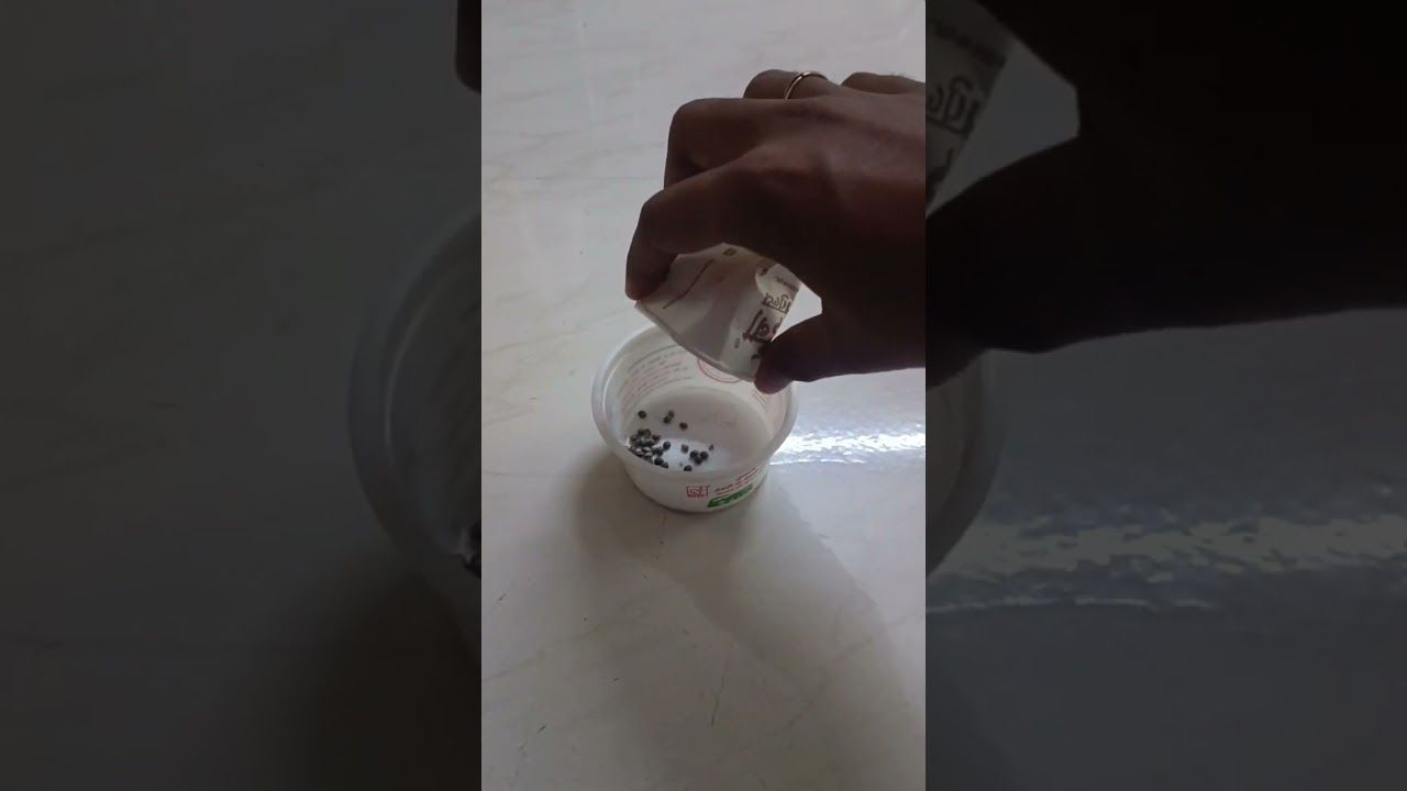 1762086727 maxresdefault.jpg