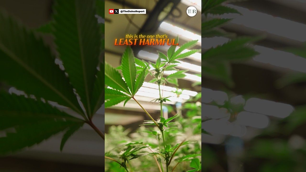 1765077605 maxresdefault.jpg