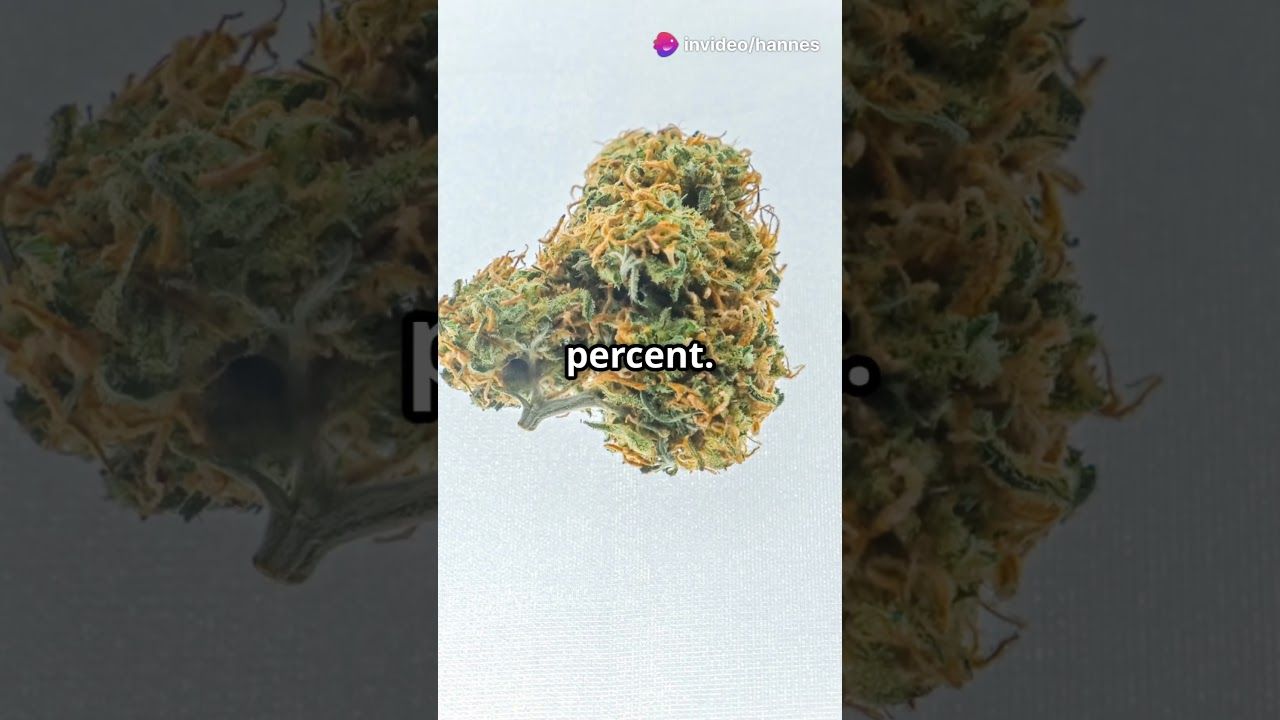 1767933148 maxresdefault.jpg