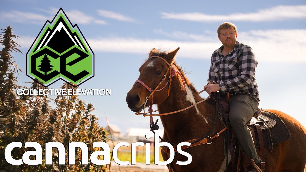 1773378210 maxresdefault.jpg