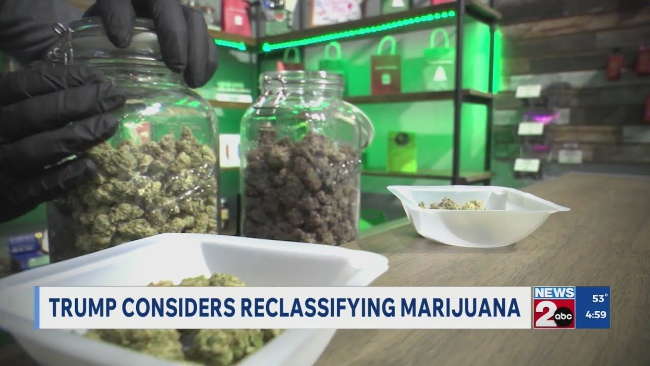 1766029680 maxresdefault.jpg