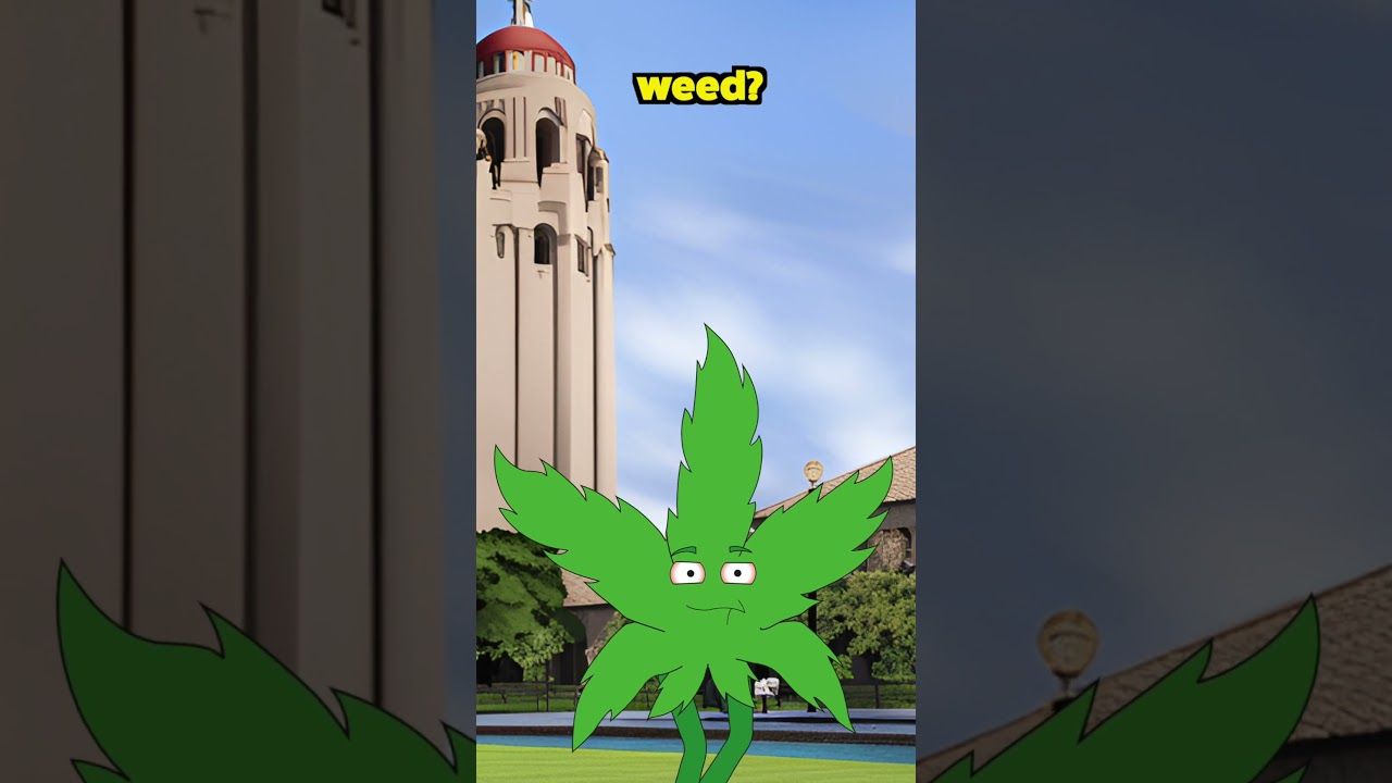 1766245915 maxresdefault.jpg