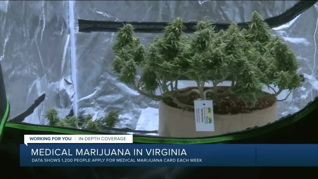 Thousands apply for medical marijuana cards in virginia.jpg