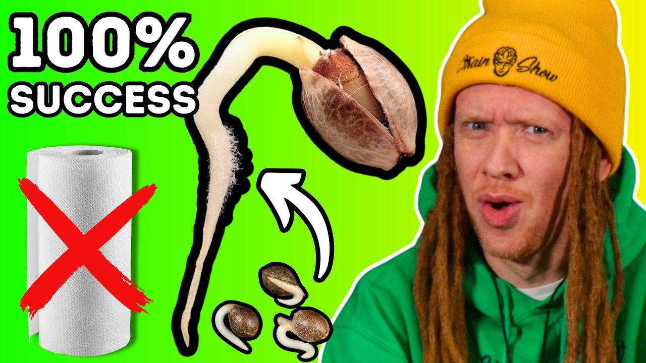 1761697270 maxresdefault.jpg