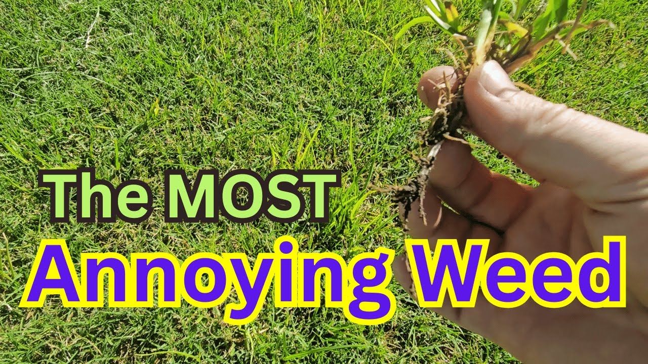 1760962008 maxresdefault.jpg