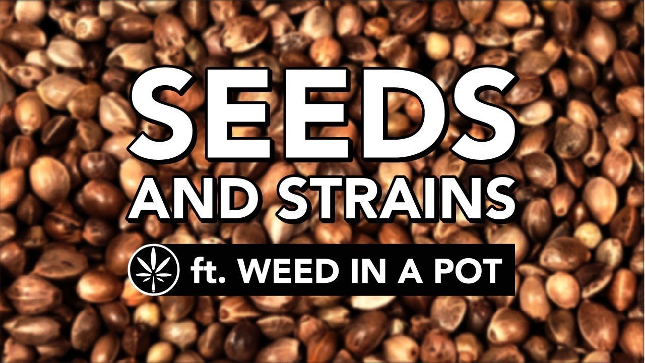 1775505547 maxresdefault.jpg