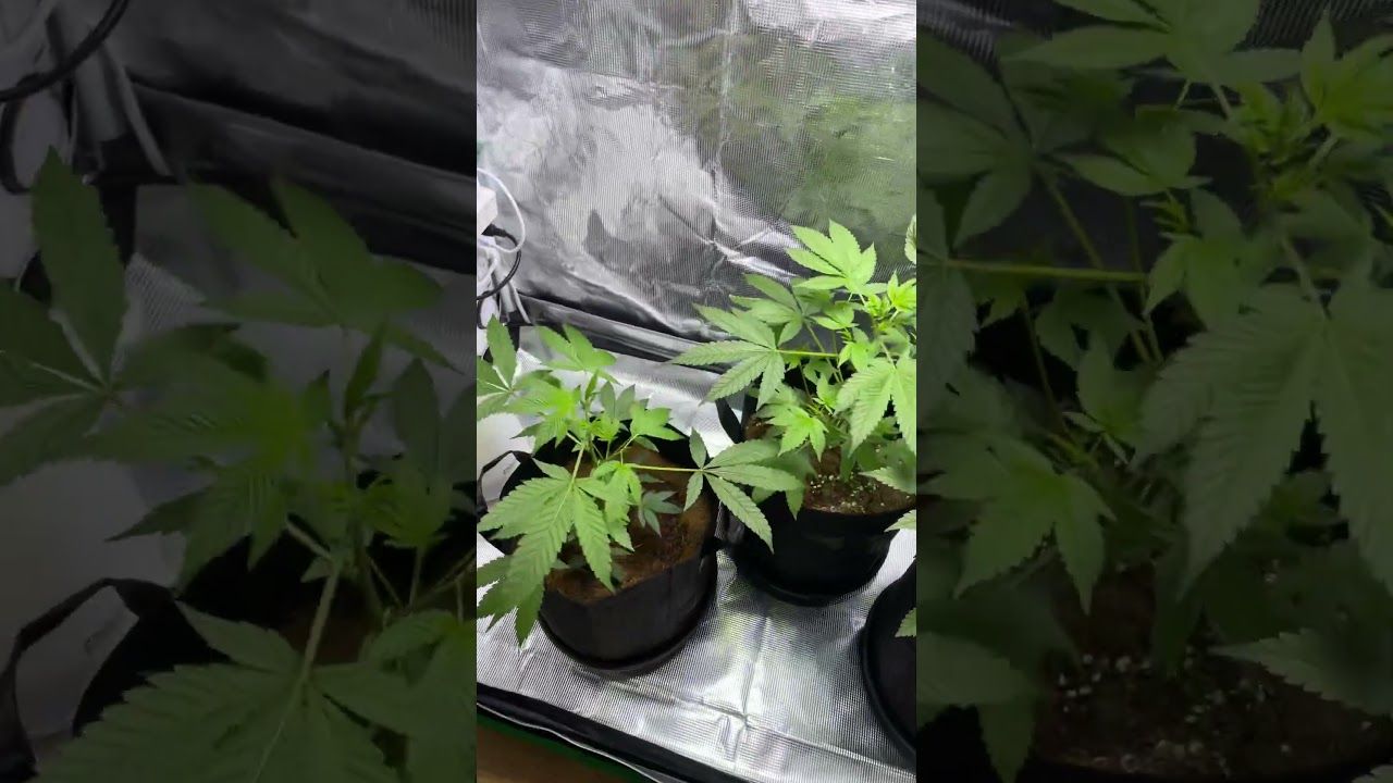 1761740591 maxresdefault.jpg