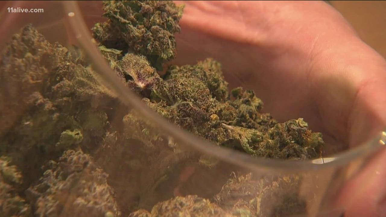 Medical marijuana battle 15 producers protest states decision to.jpg