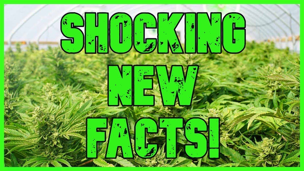 1761134946 maxresdefault.jpg