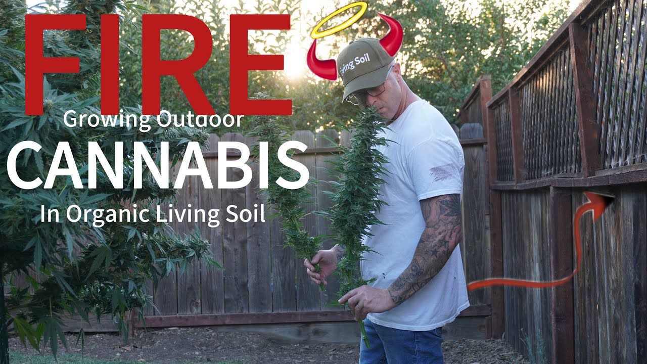 1763903285 maxresdefault.jpg