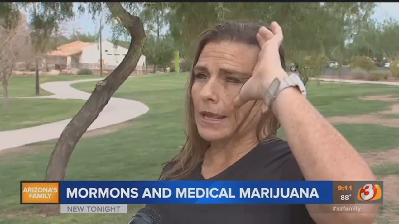 Video mormons and medical marijuana.jpg
