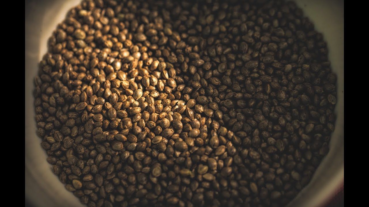 1770529220 maxresdefault.jpg