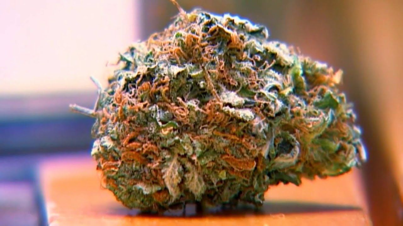 Tsa allows medical marijuana through airport security but florida laws.jpg
