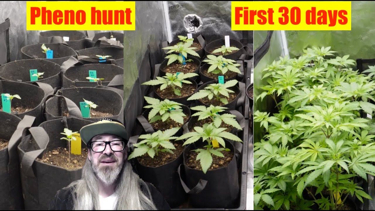 1765677072 maxresdefault.jpg