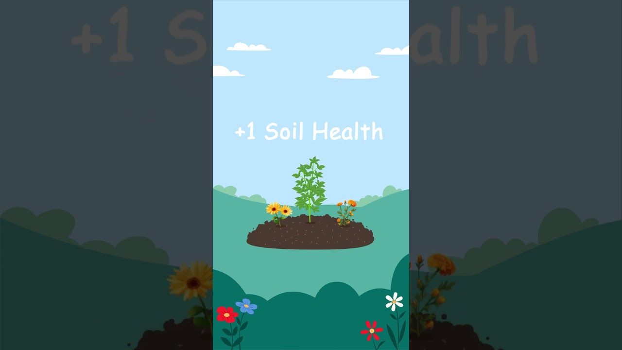 1763822847 maxresdefault.jpg