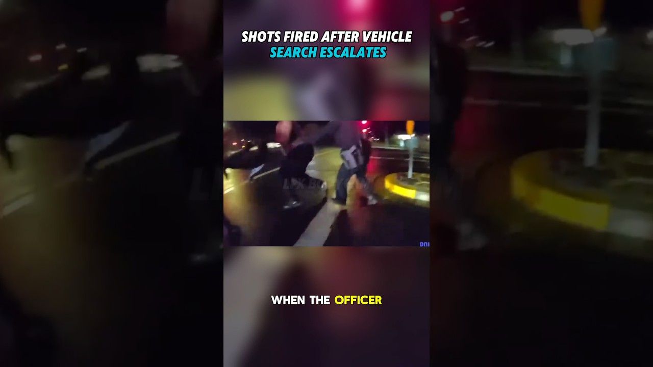 Driver attempts flee after marijuana discovery.jpg