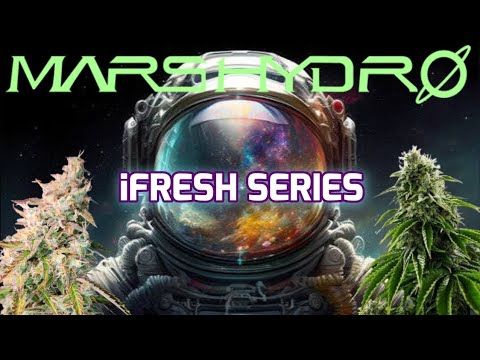 1761350698 hqdefault.jpg