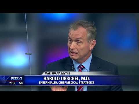 1773039411 hqdefault.jpg