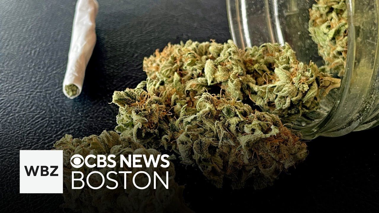 Law enforcement group alleges fraud thc inflation in mass cannabis.jpg
