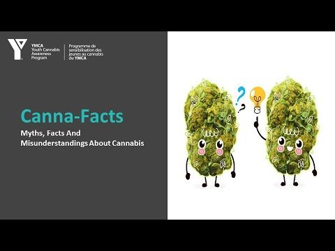 1766894831 hqdefault.jpg