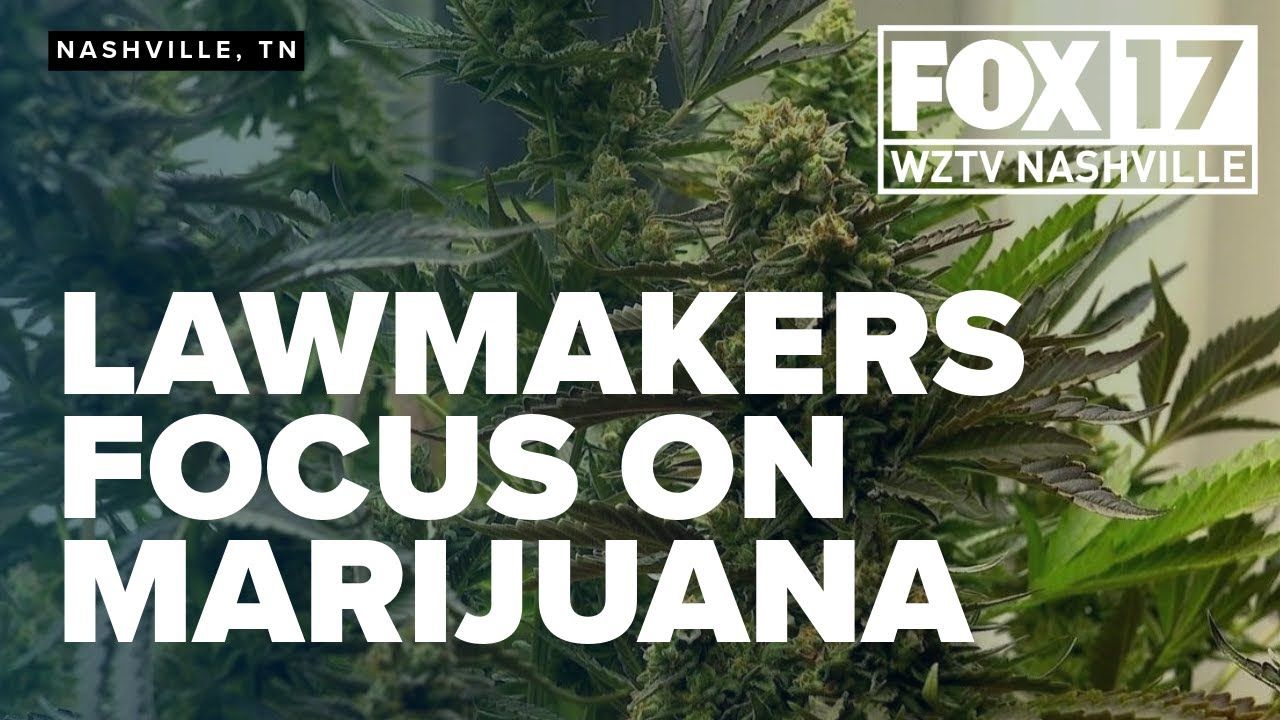 1769014928 maxresdefault.jpg