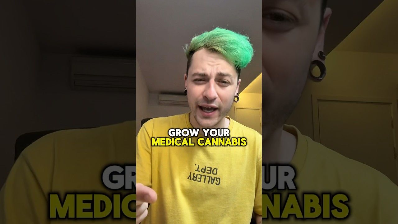1782593514 maxresdefault.jpg