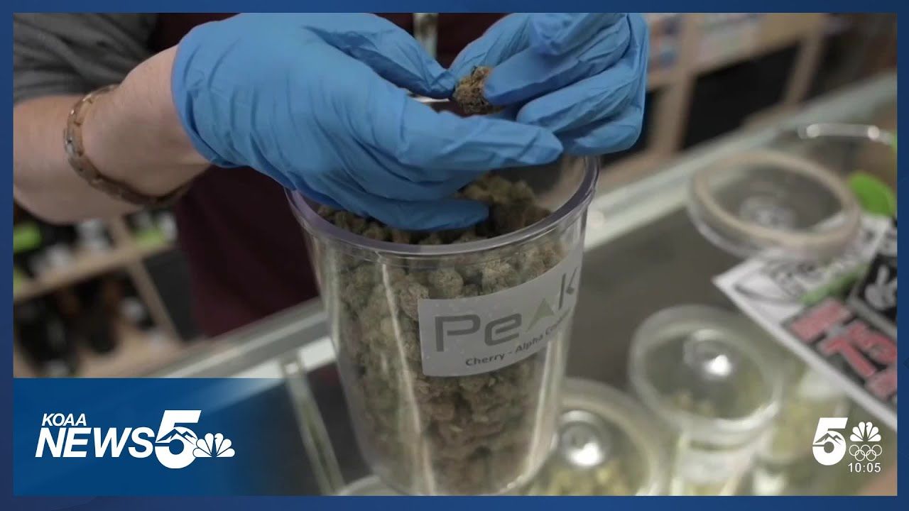 1765726669 maxresdefault.jpg