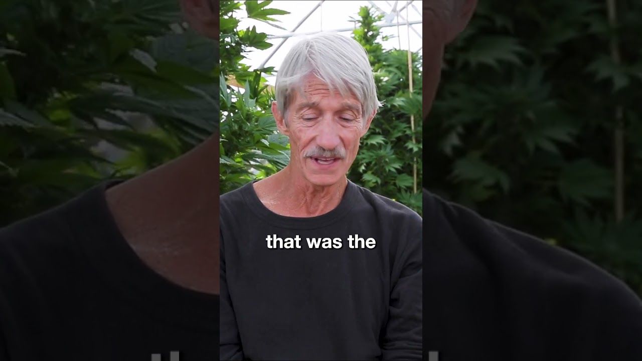 1778966941 maxresdefault.jpg