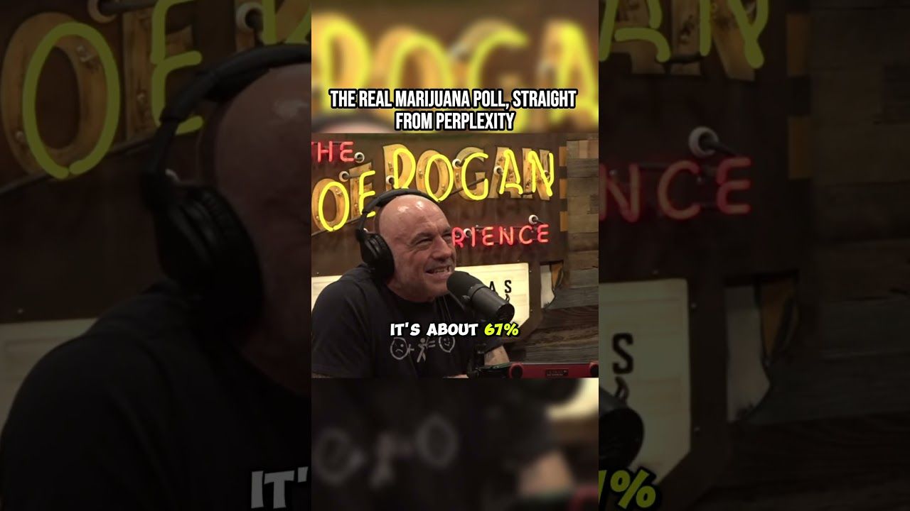 1790563069 maxresdefault.jpg