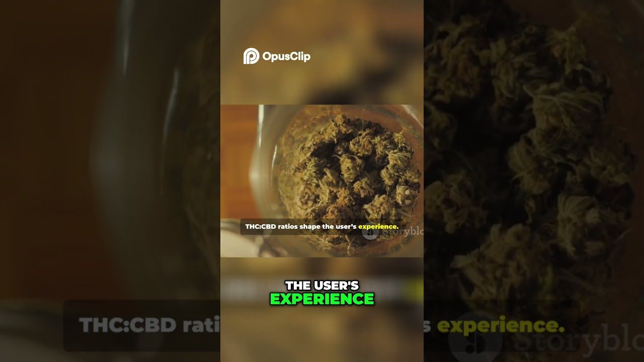 1761048379 maxresdefault.jpg