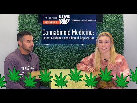 1764039236 hqdefault.jpg