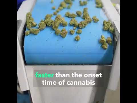 1765899721 hqdefault.jpg