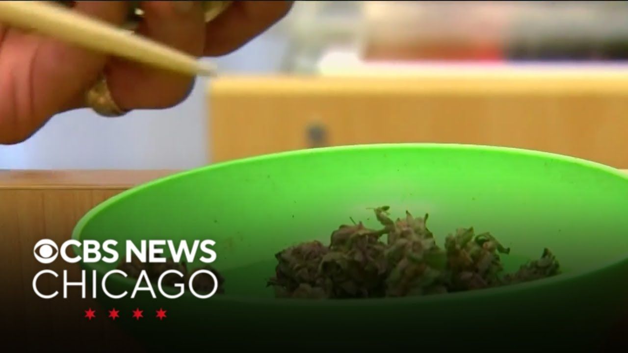 Medical marijuana can curb opioid use study finds health.jpg