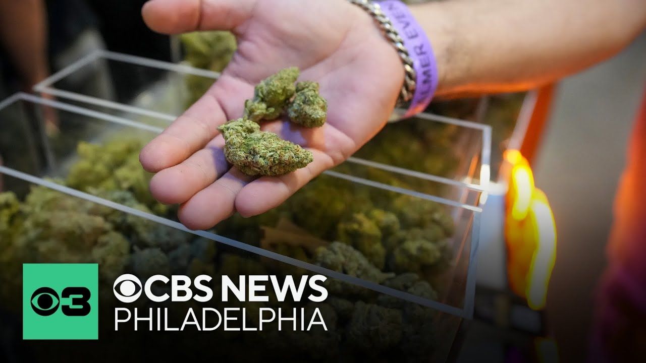 Doctors recommend medical marijuana use as more patients seek safer.jpg