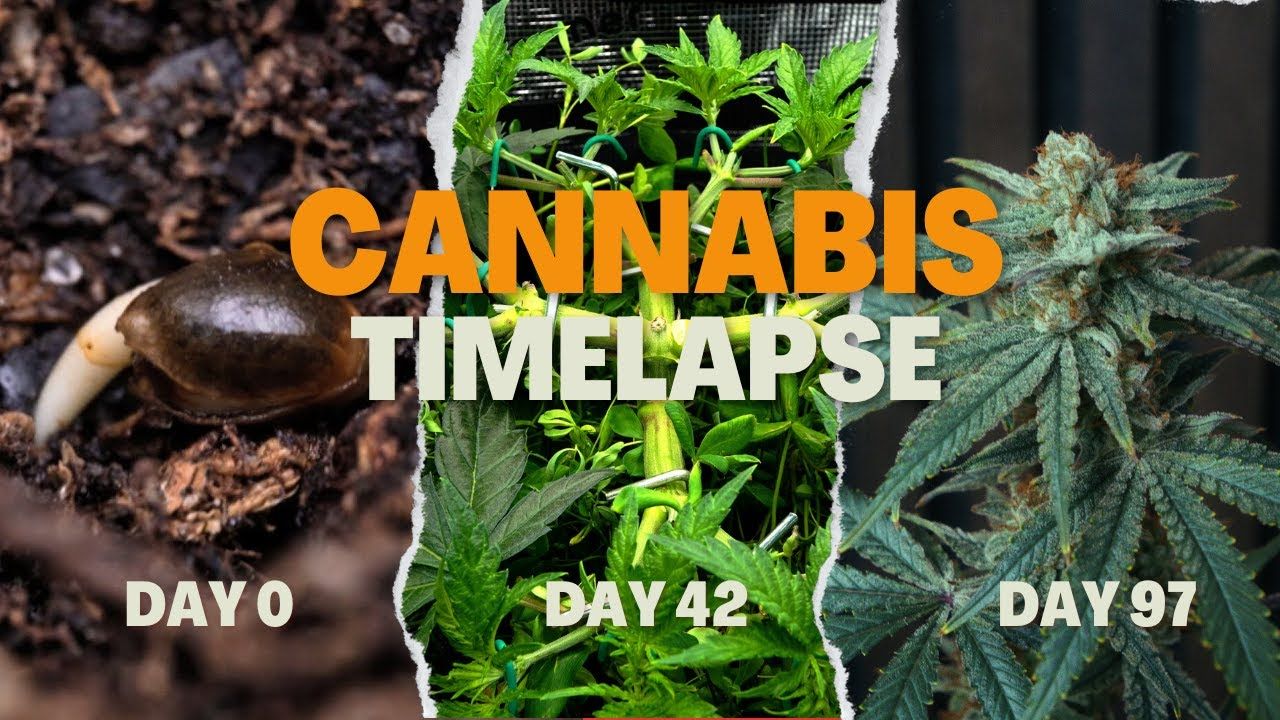 1765157874 maxresdefault.jpg