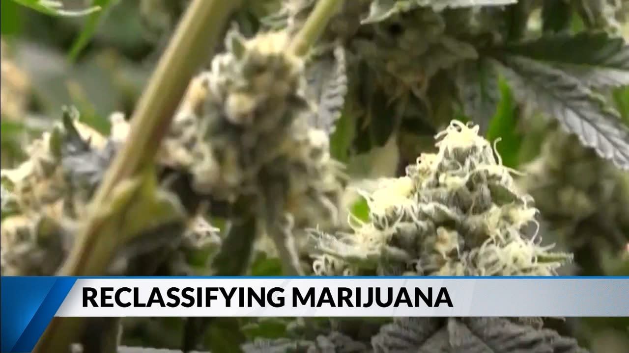 1765986435 maxresdefault.jpg