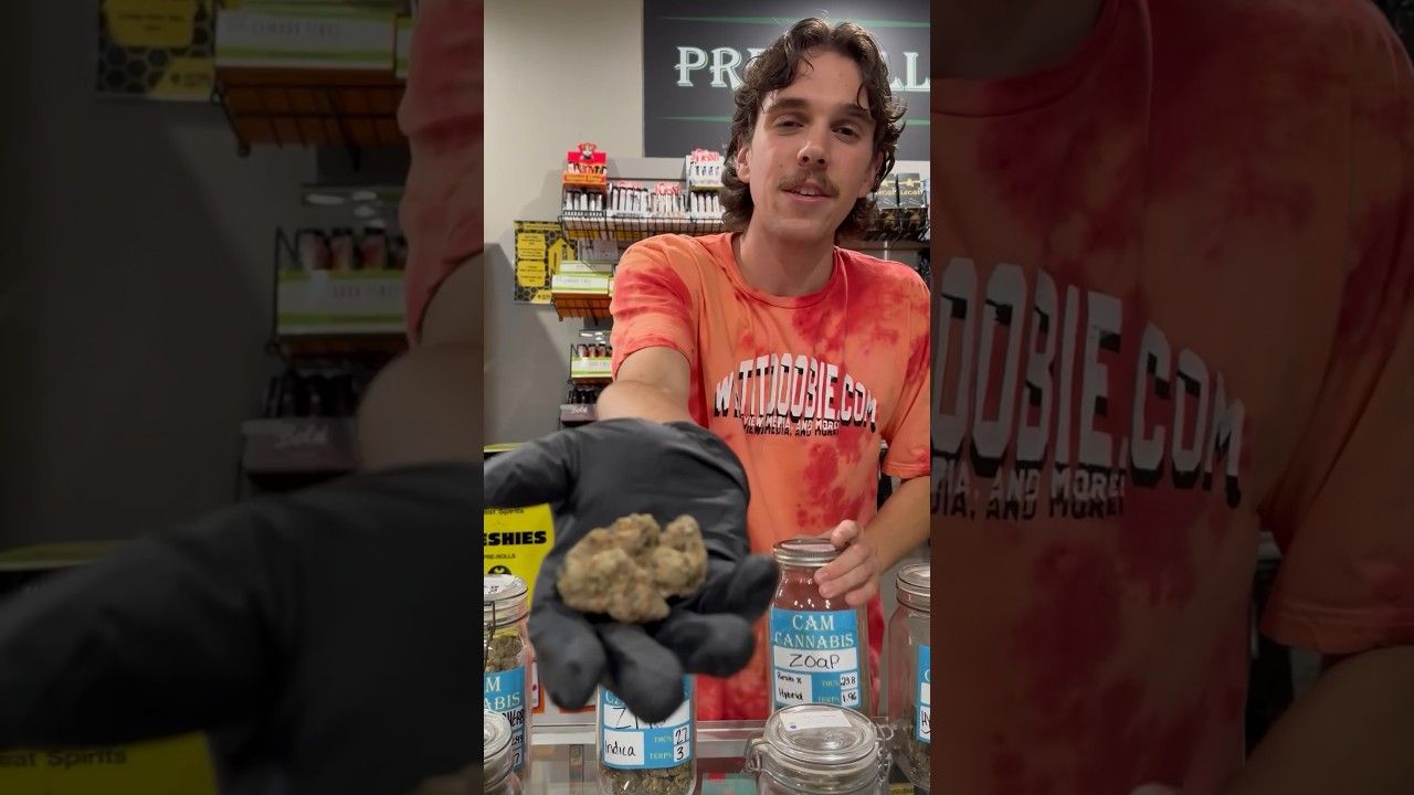 1762909446 maxresdefault.jpg