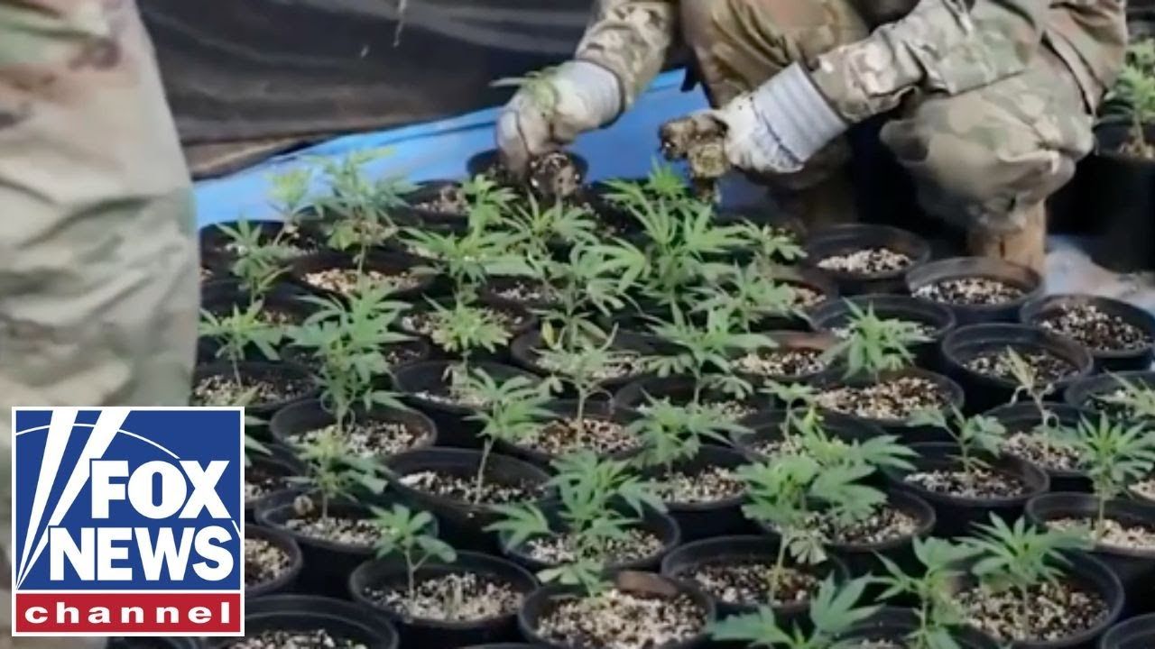 1769361312 maxresdefault.jpg