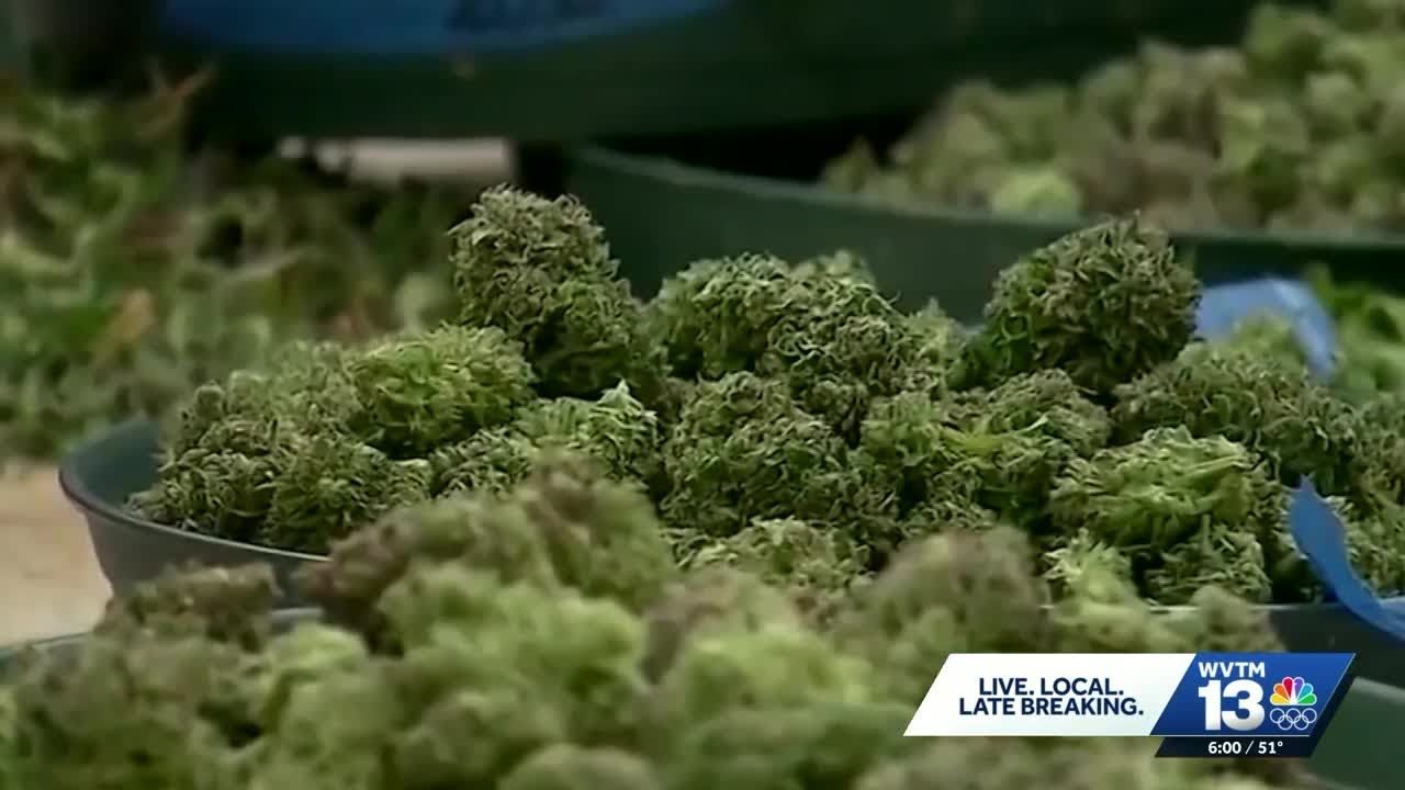 Alabama medical cannabis commission unanimously votes to give dispensary licenses.jpg