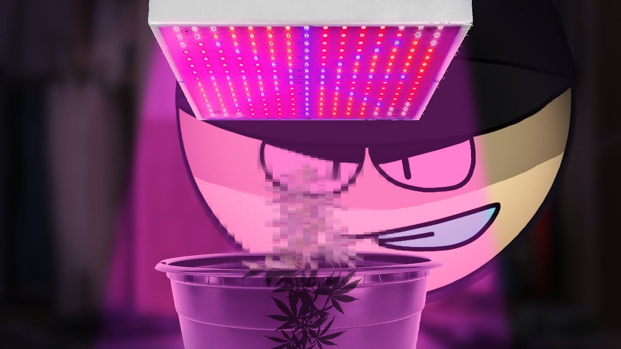 1779954524 maxresdefault.jpg