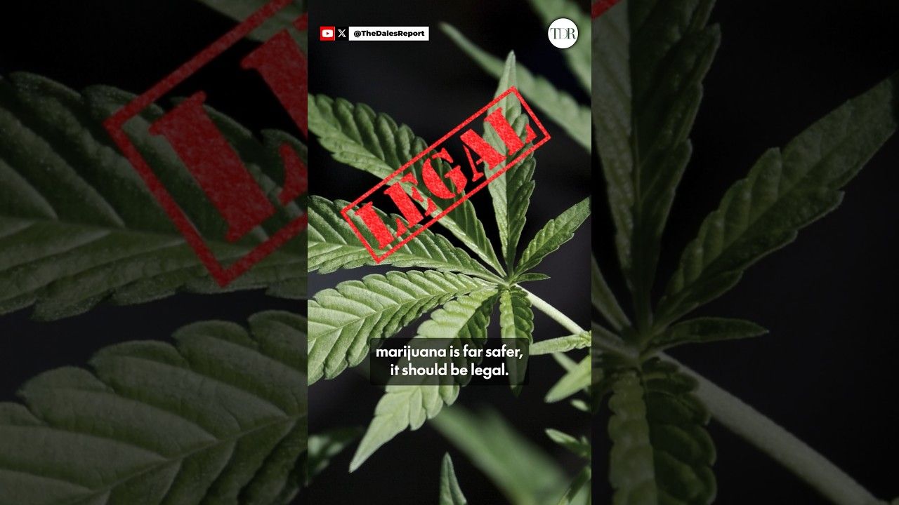 1775981942 maxresdefault.jpg